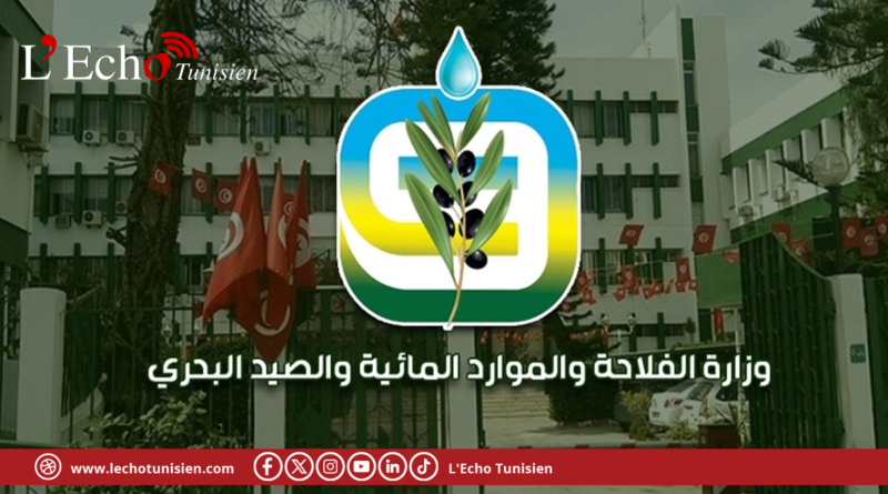 وزارة الفلاحة تضبط رزنامة وشروط موسم الصيد البحري لسنة 2027/2026