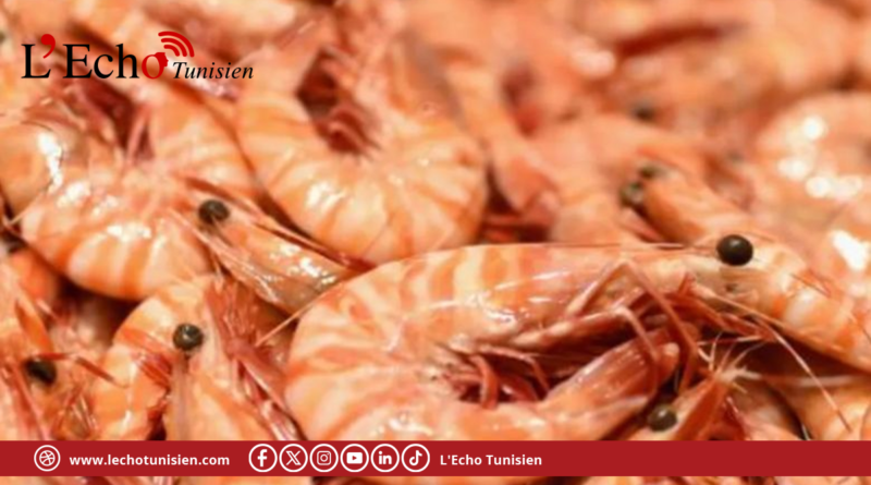 اتحاد الفلاحة بوضح أسباب تراجع أسعار “الكروفات”