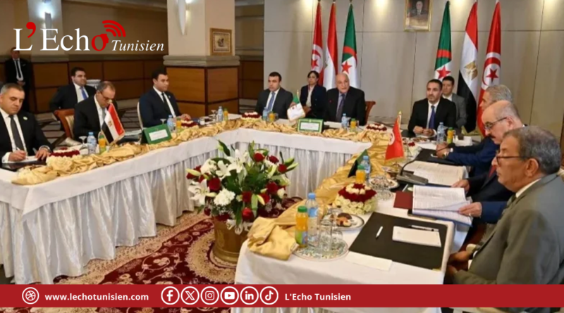 تونس ومصر والجزائر توحد مواقفها بشأن الأزمة الليبية
