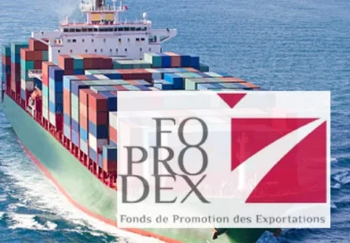 FOPRODEX : 50 % à 70 % de prise en charge pour les artisans exportateurs