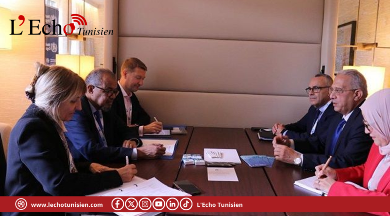 وزير الصحة يعقد جلسة عمل مع المدير العام لمنظمة الصحة العالمية في برلين