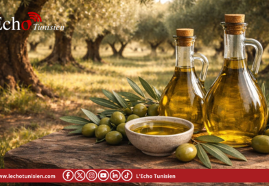 الذهب الأخضر التونسي يلمع في الأسواق العالمية.. 4 مليارات دينار عائدات التصدير!