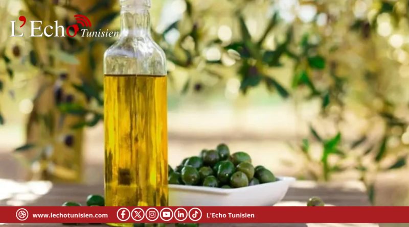 قانون المالية 2027: مقترح حساب خاص لمساندة صغار الفلاحين في منظومة زيت الزيتون