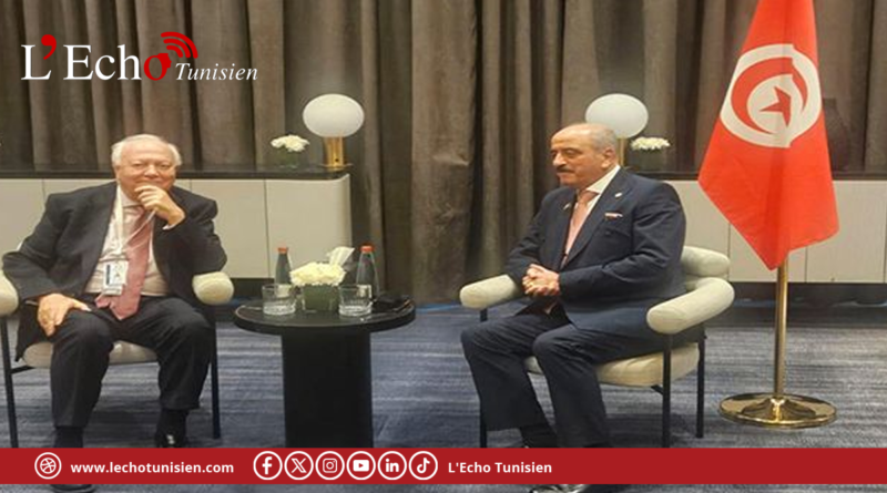 فحوى لقاء النفطي بوكيل الأمين العام للأمم المتحدة المبعوث الخاص لمكافحة الإسلاموفوبيا