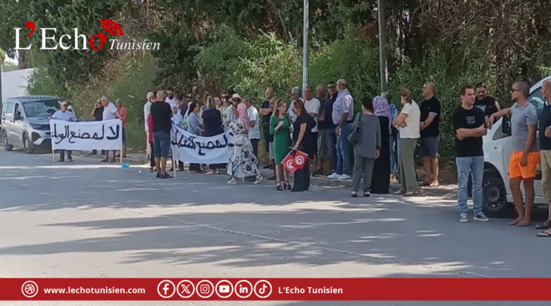 نابل: سحب تصنيف مصنع الذباب الأسود بقرمبالية وغلقه مؤقتا