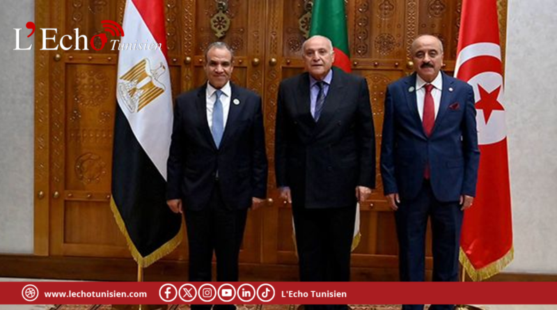 وزير الخارجية يؤكد على أهمية آلية التشاور الثلاثي