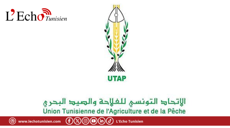 الاتحاد التونسي للفلاحة يدعو إلى دعم الفلاح والبحار وحماية منظومات الإنتاج الوطنية