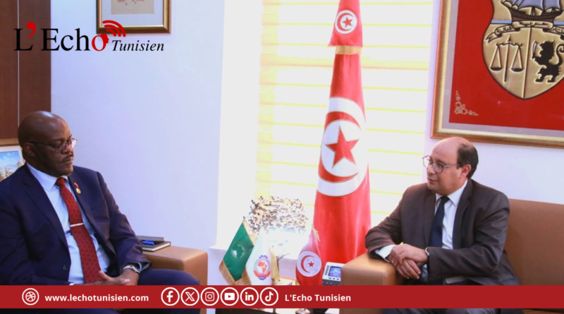 وزير تكنولوجيات الاتصال يبحث مع الأمين العام للاتحاد الإفريقي للبريد سبل تعزيز التعاون والشراكة