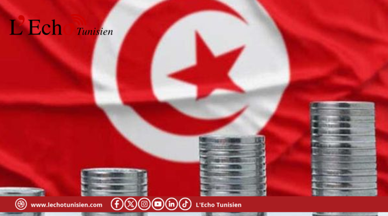 رئيس ديوان وزارة المالية: تونس صمدت أمام الأزمات وتحكمت في التضخم والعجز والمديونية